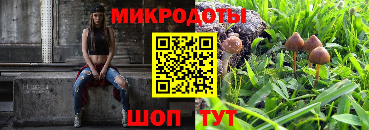 Псилоцибиновые грибы Psilocybine cubensis  как найти закладки  Орехово-Зуево  Вход с VPN 